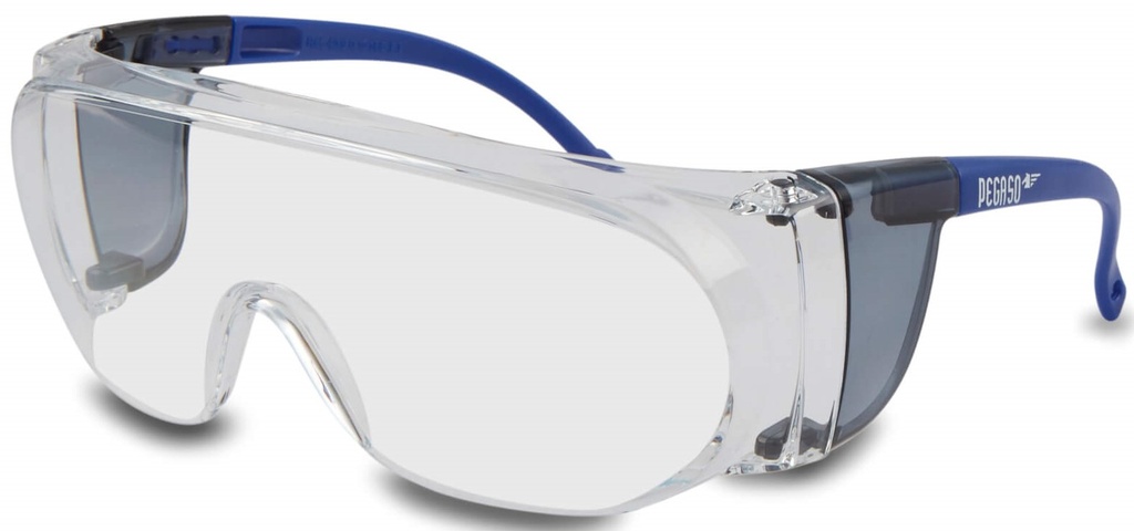 GAFAS PEGASO BASIC3 40.9