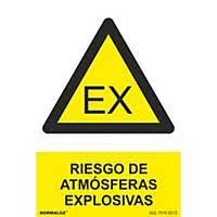 SEÑAL A61A4P 210x297mm PVC RSG ATMOSFERAS EXPLOSIVAS